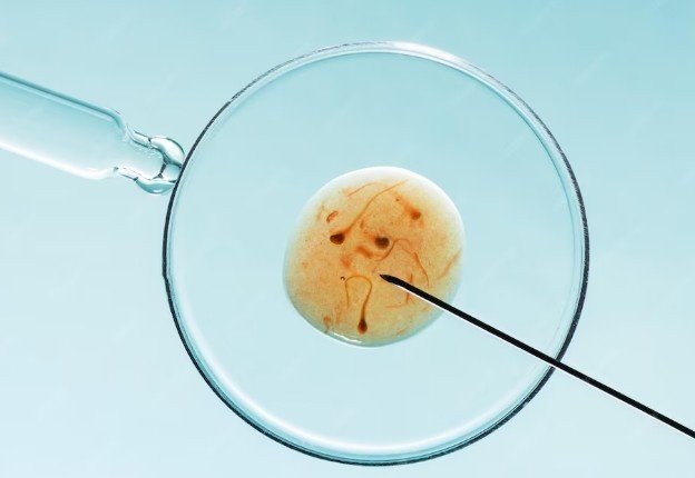 Best Fertility Treatment in Sector 56, Gurugram