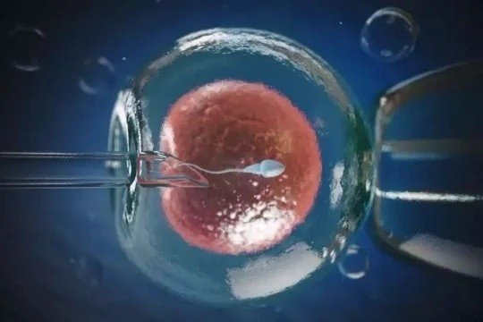 Egg Freezing Treatment in Gurugram